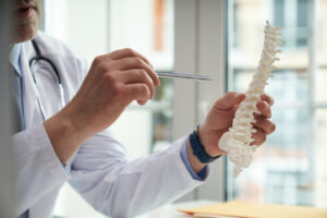 What Is the Spinal Cord?